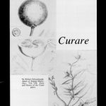 Image of The History of Anesthesiology Reprint Series: Part 13 – Curare. - 1 of 1