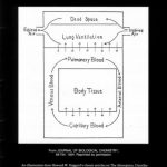 Image of The History of Anesthesiology Reprint Series: Part 15 – Uptake and Distribution of Inhalation Anesthetics. - 1 of 1