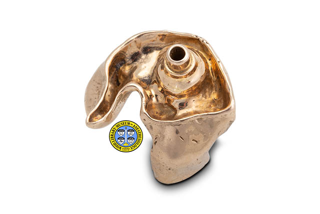 Custom Earpiece - Wood Library-Museum of Anesthesiology (WLM)