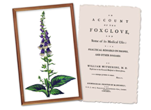 Withering and Foxglove