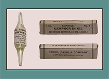 Camphor vs .Avertin ODs