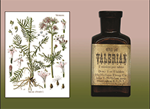 Valerian & Nitrous Oxide